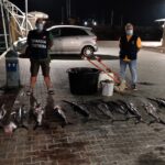 L'uomo che pesca di frodo i pescespada a Scoglitti