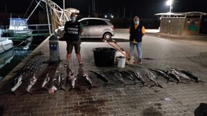 L'uomo che pesca di frodo i pescespada a Scoglitti