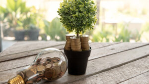 Ecobonus 110 per cento, cosa conviene scegliere?