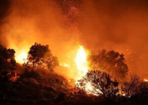 Incendi: roghi nel Palermitano, via da case per paura