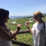 ViniMilo è anti-Covid, numero chiuso per degustazioni e convegni