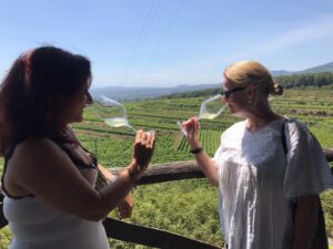 ViniMilo è anti-Covid, numero chiuso per degustazioni e convegni
