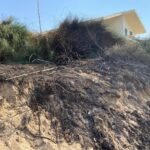 Il piromane è tornato a Casuzze