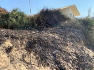 Il piromane è tornato a Casuzze