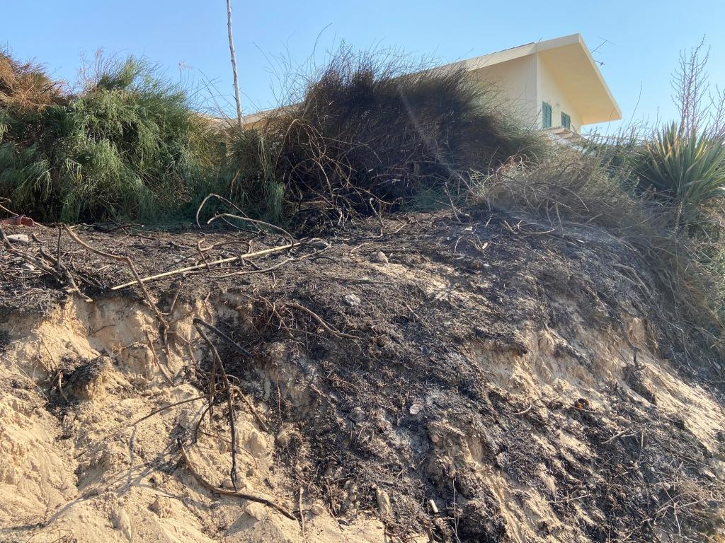 Il piromane è tornato a Casuzze