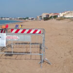 Salvate 26 tartarughine Caretta caretta