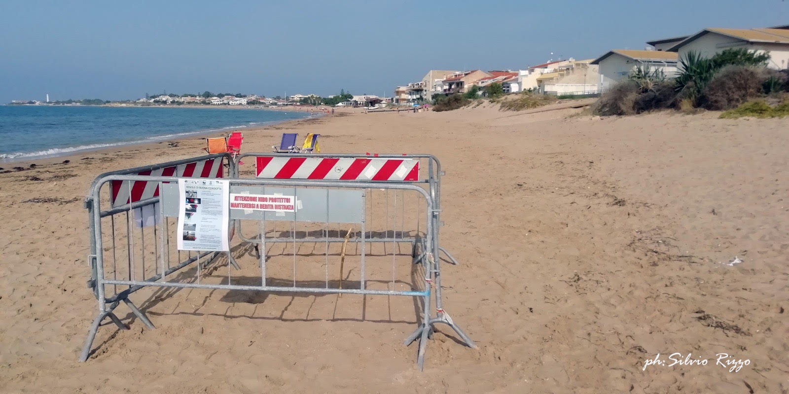 Salvate 26 tartarughine Caretta caretta. FOTO. VIDEO