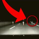 Il tunisino morto a Vittoria e i braccianti in strada di notte