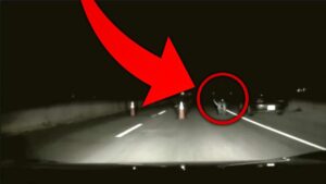 Il tunisino morto a Vittoria e i braccianti in strada di notte