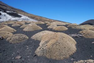 Etna: studio, ha un patrimonio floristico di 1