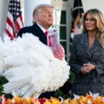 Abbiamo rischiato la fare la fine di "Corn" anche noi