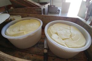 Il latticino più light? E' la ricotta