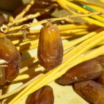Datteri: proprietà e benefici