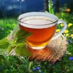 Tisane rilassanti: come prepararle e quali erbe usare contro ansia e stress