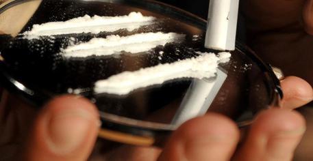 Droga: blitz polizia, smantellati fortini spaccio a Siracusa