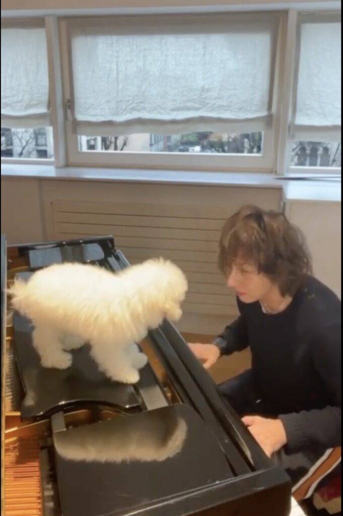 Gianna Nannini canta I Maschi a un cagnolino
