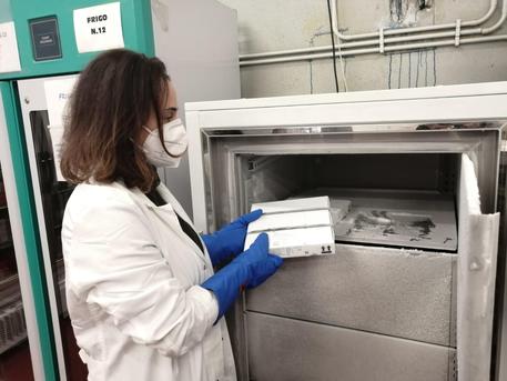 Covid: positivo medico Siracusa vaccinato 6 giorni fa