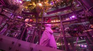 Festa di matrimonio con 700 invitati, mega focolaio