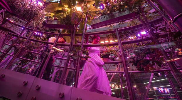 Festa di matrimonio con 700 invitati, mega focolaio