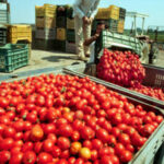 Lavoro: petizione contro villaggio per stagionali a Siracusa