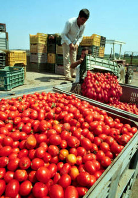 Lavoro: petizione contro villaggio per stagionali a Siracusa