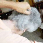 Strangola la moglie 90enne malata di Alzheimer e chiama la figlia