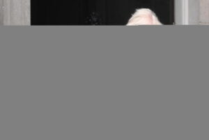 Usa: governo Johnson 'pronto a lavorare con Biden'