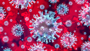 Covid e la dieta che può ostacolare il virus