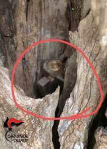 Fucile in cavità albero vicino luogo omicidio nel Trapanese