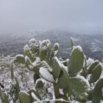 Ondata di freddo anche sulla Sicilia, in nottata neve in provincia di Palermo e Messina