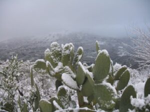 Ondata di freddo anche sulla Sicilia, in nottata neve in provincia di Palermo e Messina