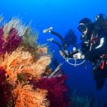 Sott’acqua al tempo del Covid: idrofoni per ascoltare il mare