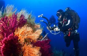 Sott’acqua al tempo del Covid: idrofoni per ascoltare il mare