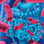 Dieta: relazione tra Metabolismo e salute del microbioma
