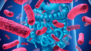 Dieta: relazione tra Metabolismo e salute del microbioma