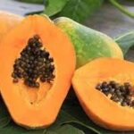 Papaya fermentata benefici e proprietà