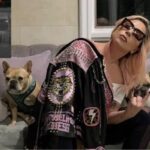 Ritrovati i cani di Lady Gaga