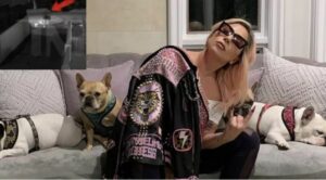 Ritrovati i cani di Lady Gaga