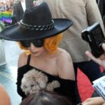 Lady Gaga piange di gioia per il ritrovamento dei cani