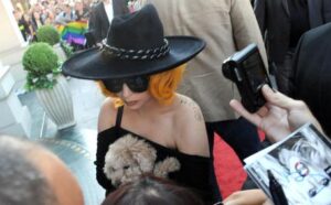 Lady Gaga piange di gioia per il ritrovamento dei cani