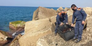 Sequestrati 1500 ricci di mare pescati illegalmente a Punta Braccetto