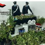 Una piantagione di marijuana nascosta in una serra a Comiso
