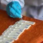 Variante nigeriana in Sicilia, quello che sappiamo sulla mutazione Covid