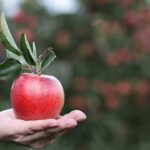 Dieta Cram per sgonfiare la pancia in 3 giorni con 4 alimenti