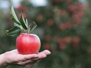 Dieta Cram per sgonfiare la pancia in 3 giorni con 4 alimenti