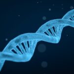 Dieta del Dna: la dieta del futuro?