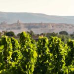 Il vino a Noto