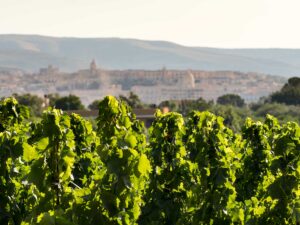 Il vino a Noto