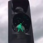 Rotterdam: scatta il semaforo, partono i Maneskin VIDEO