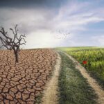 Clima e incuria prosciugano l’Isola, eppure l’acqua e i soldi ci sono